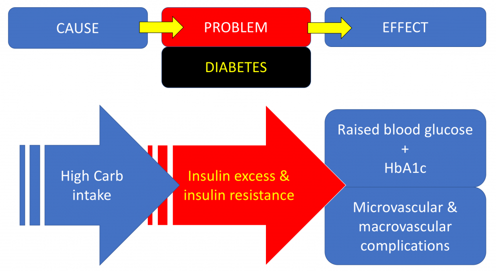 Flow chart 1: How to get diabetes | Dr Chris Barclay